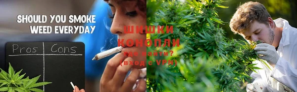 бошки Касимов