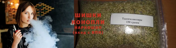 прущие грибы Карпинск