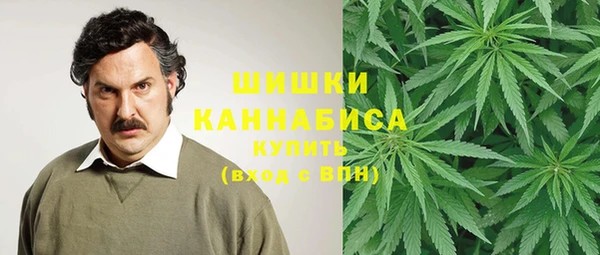 прущие грибы Карпинск